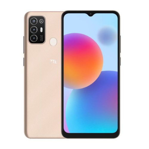 pro19